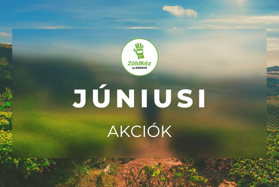 JÚNIUSI AKCIÓK